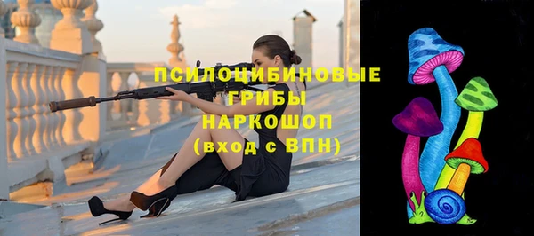 spice Нягань