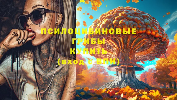 spice Нягань