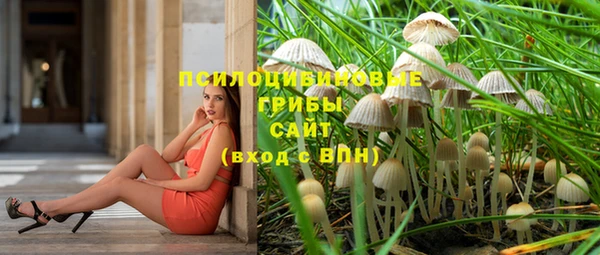 2c-b Нязепетровск