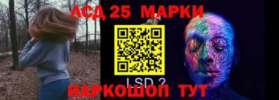 прущие грибы Берёзовский