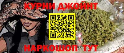 гашик Бийск