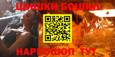 гашик Бийск