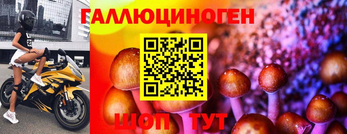 Галлюциногенные грибы GOLDEN TEACHER Борзя