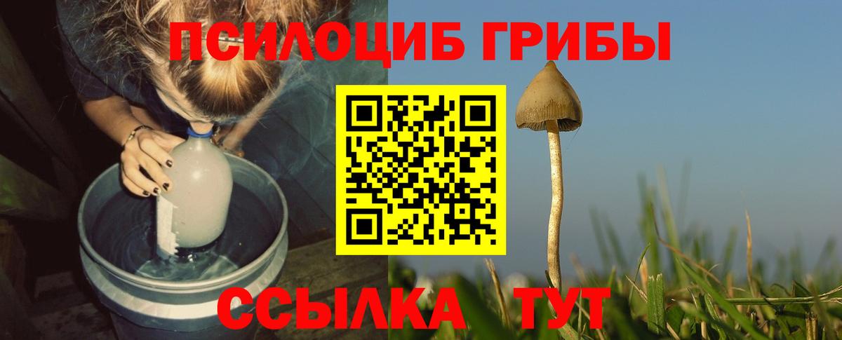 Борзя  Псилоцибиновые грибы прущие грибы  Вход с VPN 